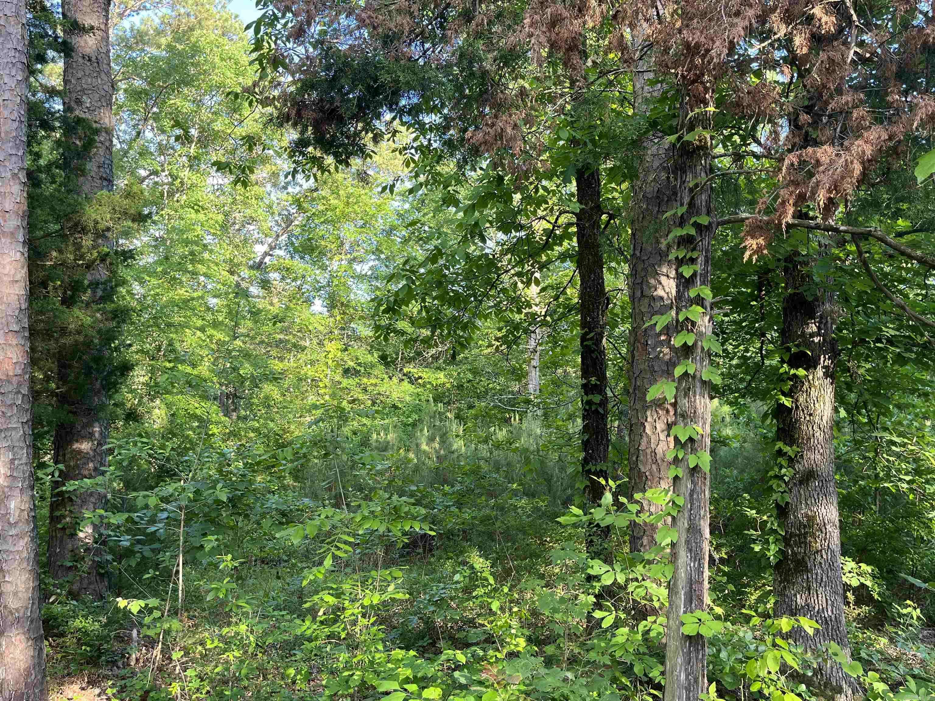 Lot 120 & 121 Del Rio Way,  Greers Ferry,  AR 72067