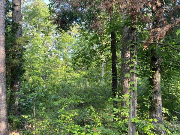 Lot 120 & 121 Del Rio Way, Greers Ferry, AR 72067