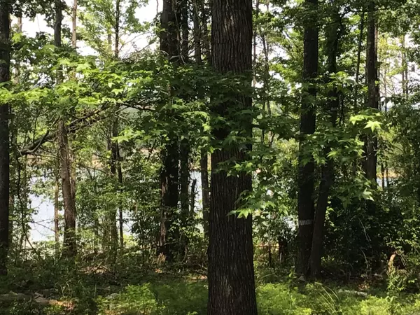 Edgemont, AR 72044,L58 Davidson