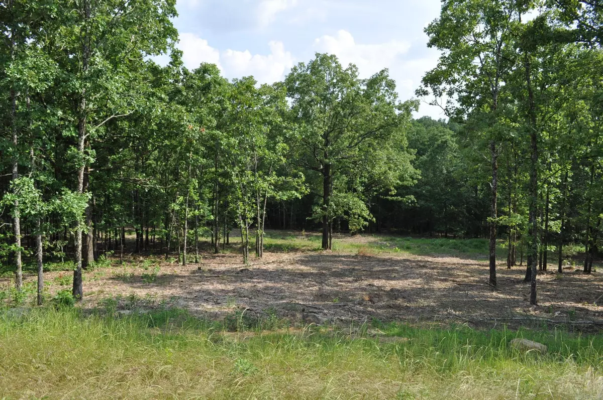 Austin, AR 72007,Lot 106 Mountain Ranch Boulevard