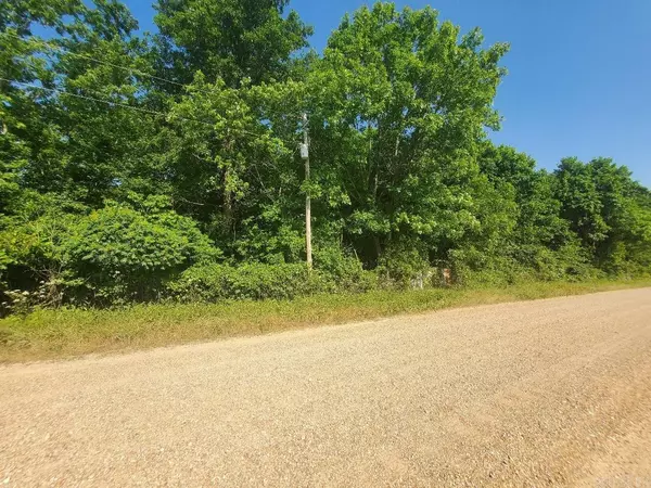 Piggott, AR 72454,Clay 349 Road