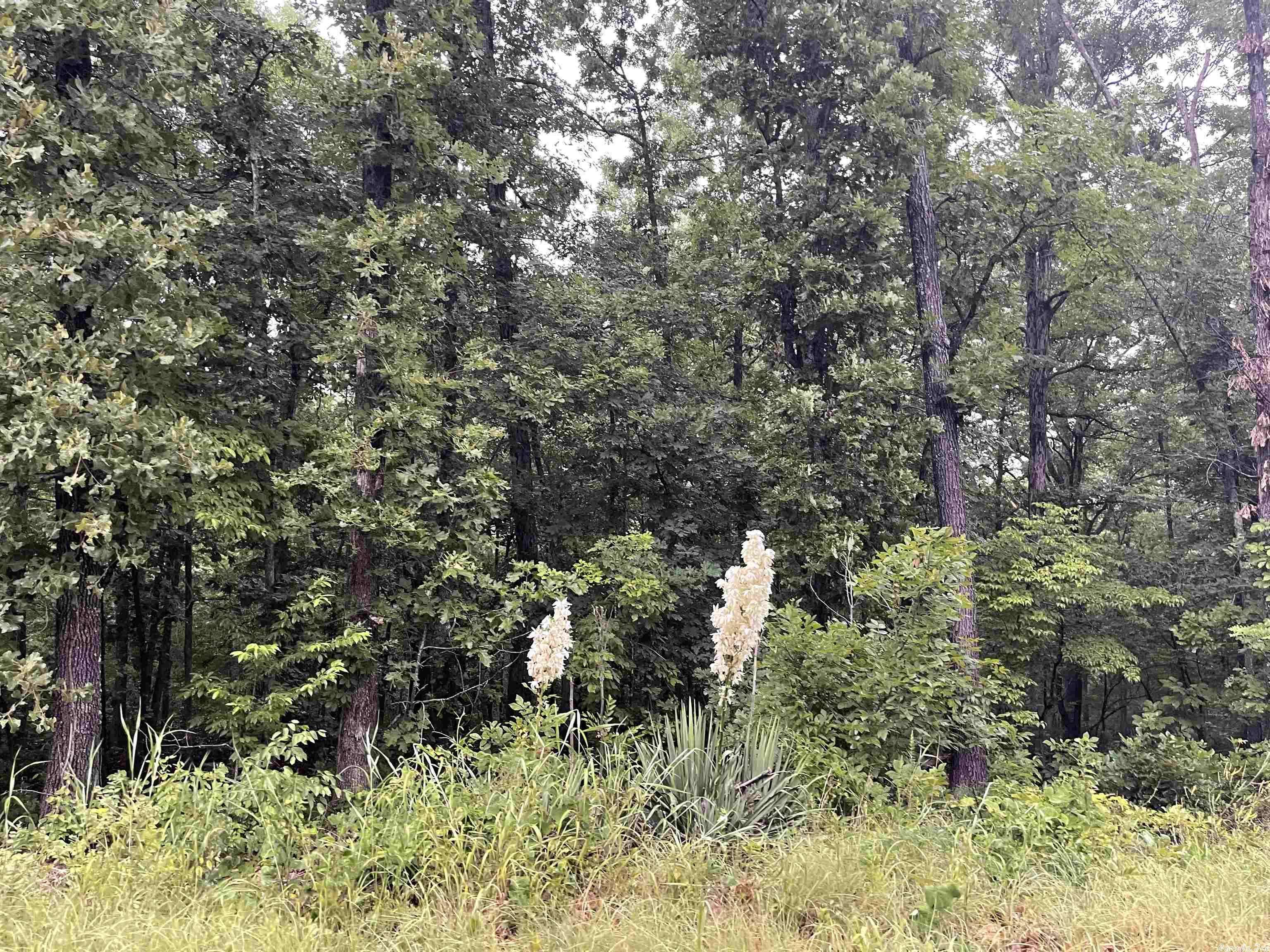 TBD Blackfoot Drive, Cherokee Village, AR 72529