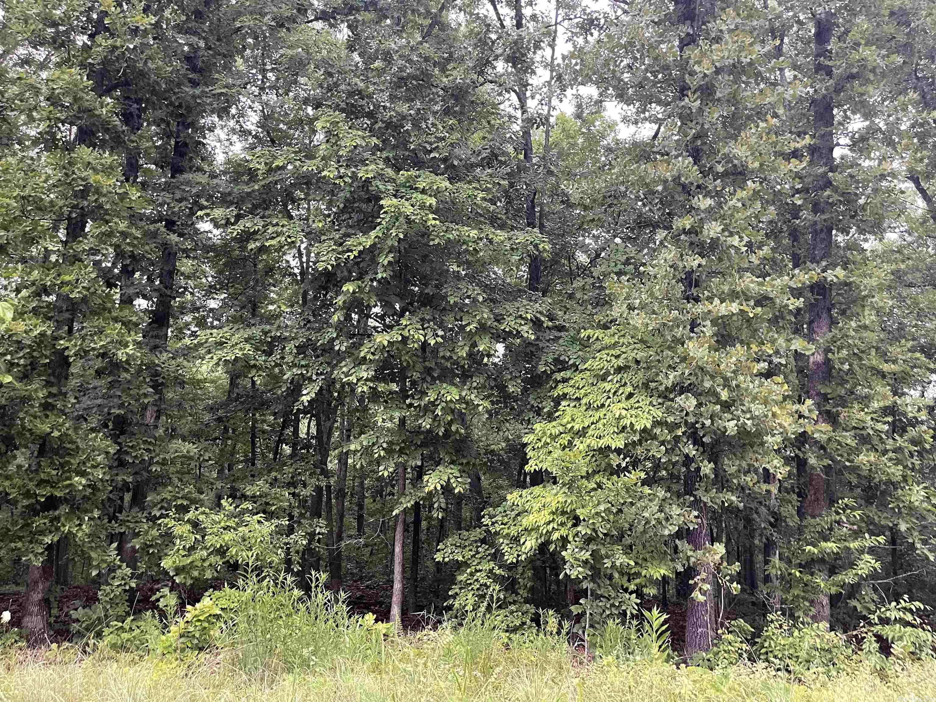 Cherokee Village, AR 72529,TBD Blackfoot Drive