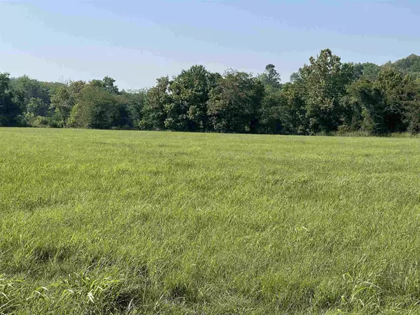 TBD lot 24 E Riverview Drive, Hardy, AR 72542