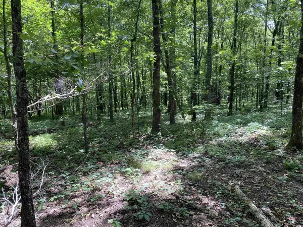 Edgemont, AR 72044,Lot 17 Bluff Drive