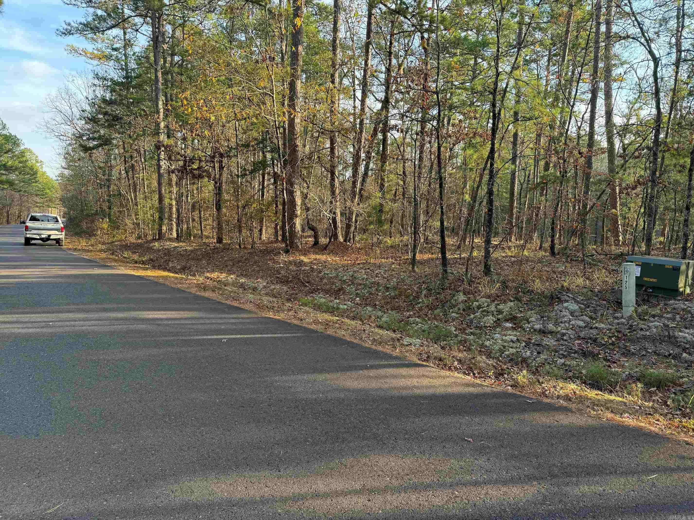 183 PAMPLONA WAY, Hot Springs Village, AR 71909