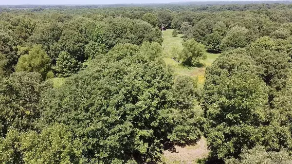 2.12 Acres +/- Off CR 2241, Hartman, AR 72840