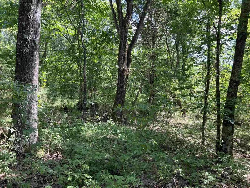 5.49 Acres on Meadow Creek Drive, Harrison, AR 72601