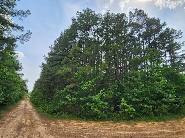 Fairfield Bay, AR 72088,0 Coyne and Elderberry Way