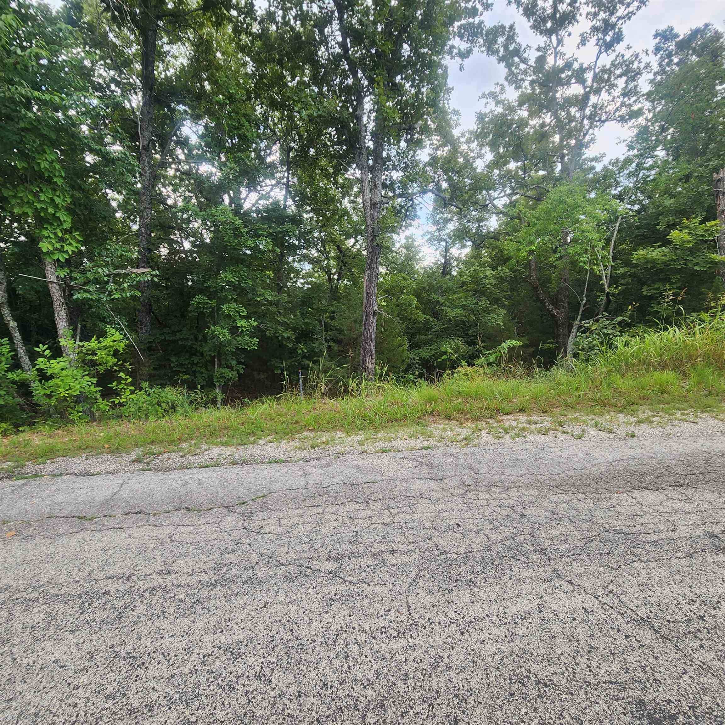 Cherokee Village, AR 72529,L-38 B-4 Topez Drive