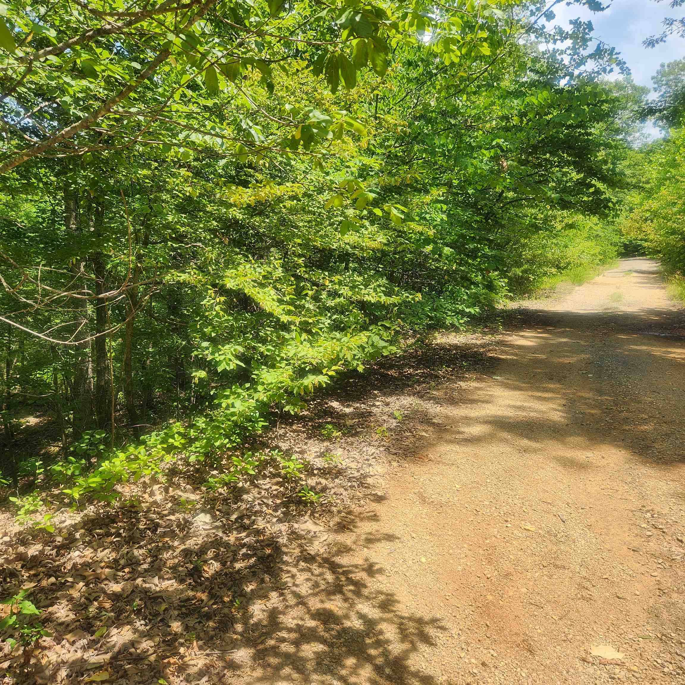 Cherokee Village, AR 72529,L-27, B-15 Goti Drive