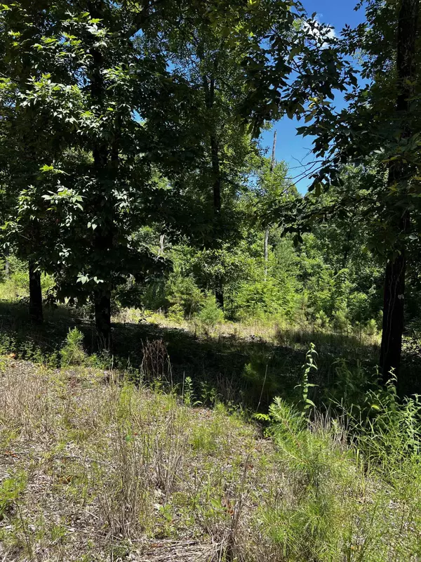 Bigelow, AR 72016,Address not disclosed