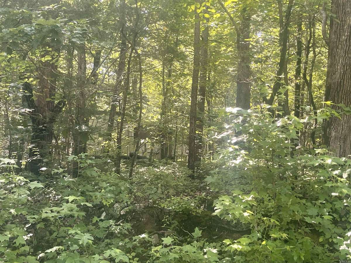 Greers Ferry, AR 72067,000 Roxie Lane