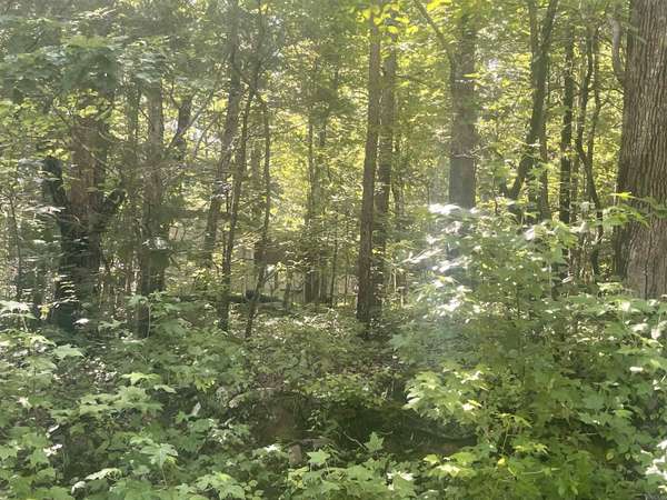 000 Roxie Lane, Greers Ferry, AR 72067