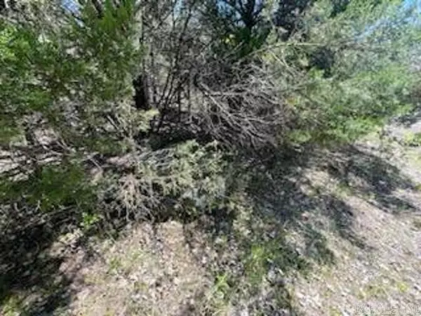 Lead Hill, AR 72644-0000,blk 4 lot 19 MC 2048