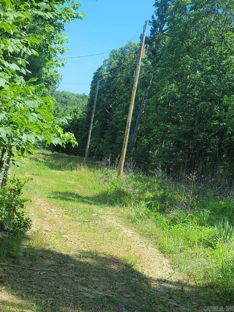 TBD Shiloh Lane, Clinton, AR 72031