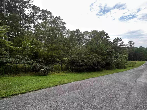 Shirley, AR 72153,Lot 90 Cobalt Bay Drive