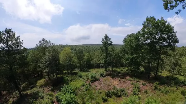 Norman, AR 71960,TBD Manfred Road