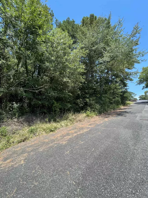 Lot 10 Mohawk Street, Hot Springs, AR 71901