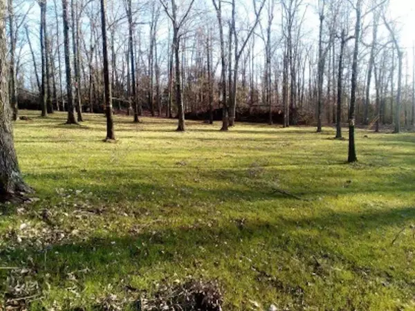 Lot 14, 15, 16 Chaparrel, Elizabeth, AR 72531