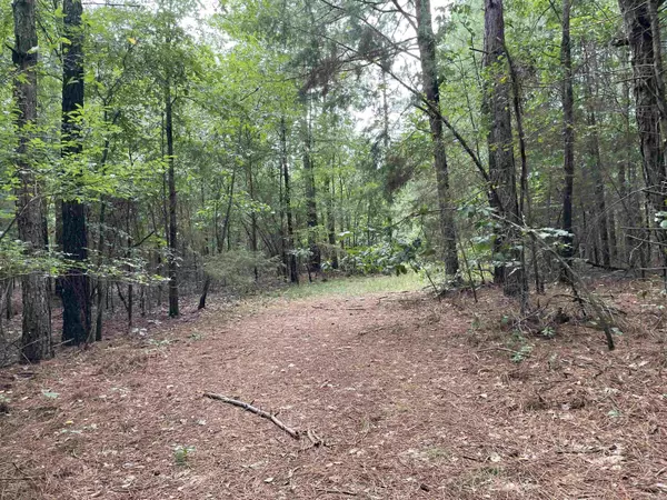 0 Red Barn Rd, Cave City, AR 72521