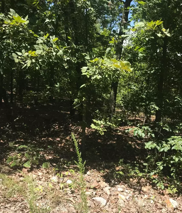 Ash Flat, AR 72513,Lot 48 Byhalia Trail