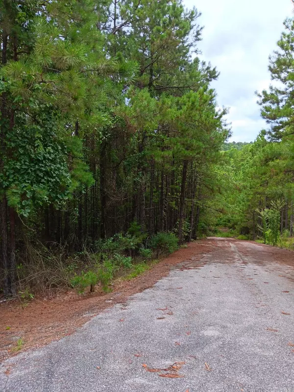 Shirley, AR 72153,Lot 14 Thompson Cove Lane