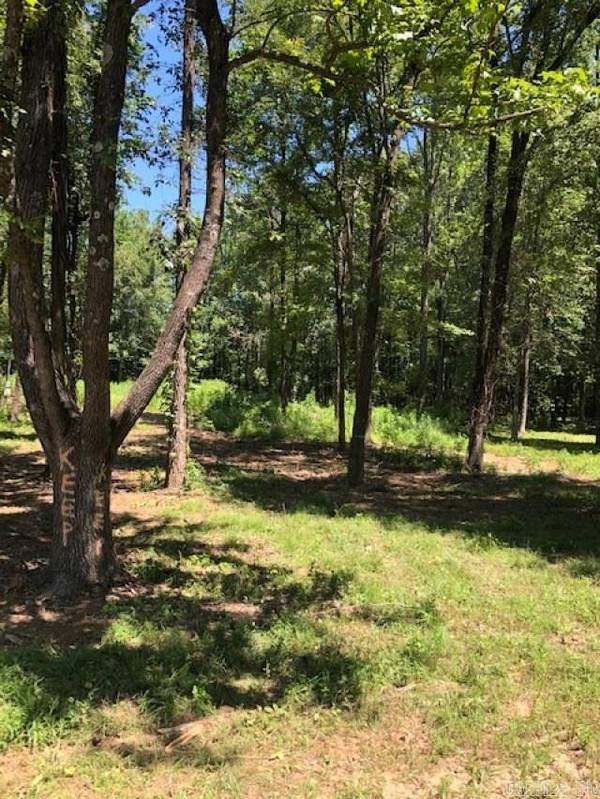 Paragould, AR 72450,Address not disclosed