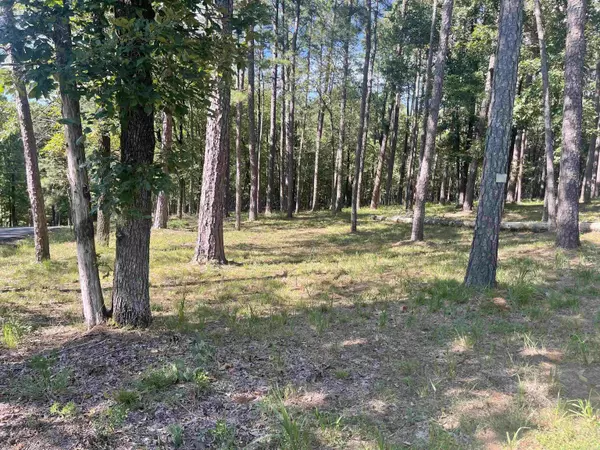 Shirley, AR 72153,000 Boulder & View