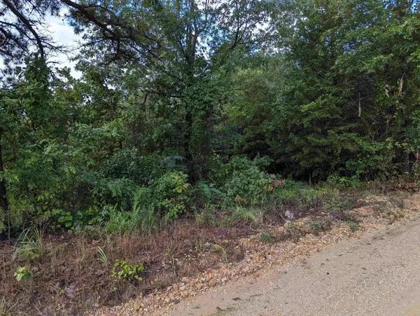 Bexar, AR 72515,TBD Bexar Road