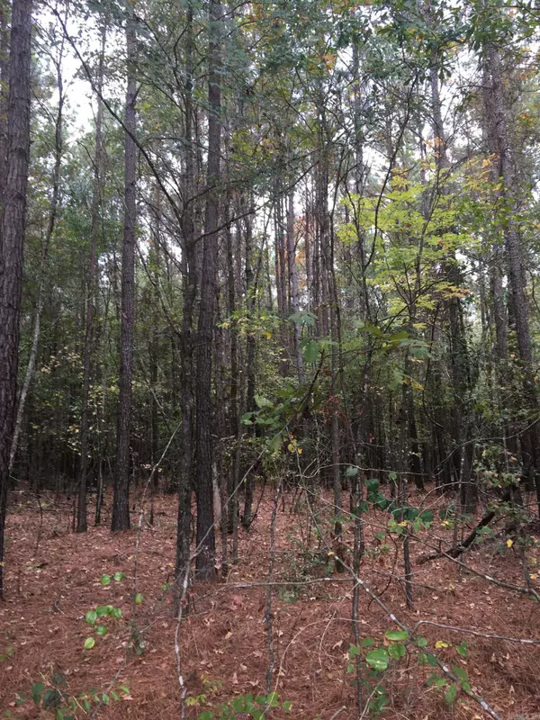 Pine Bluff, AR 71603,40 Acres Sulphur Springs Rd