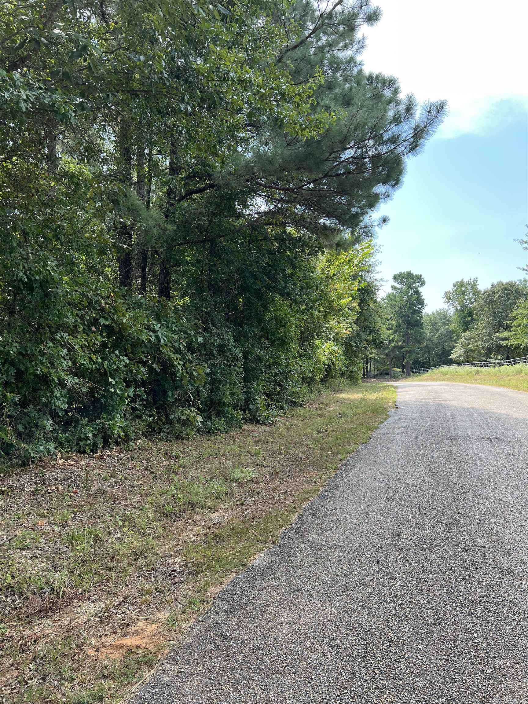 xx Burrow road, Arkadelphia, AR 71923