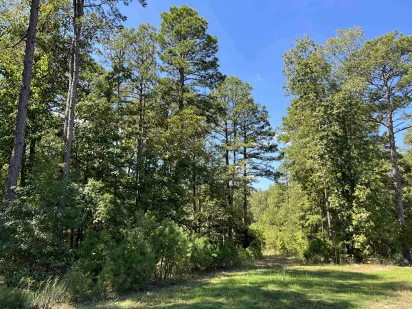 Greers Ferry, AR 72067,125 Crystal Lane