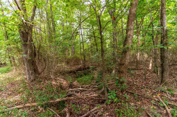 Paragould, AR 72450,200 Acres Greene 718 and 707 Road