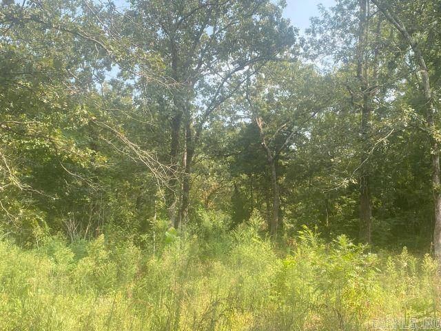 Greenbrier, AR 72058,13 Brookwood Lane