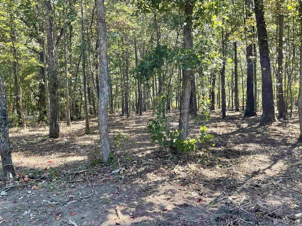 Higden, AR 72067,000 Presley