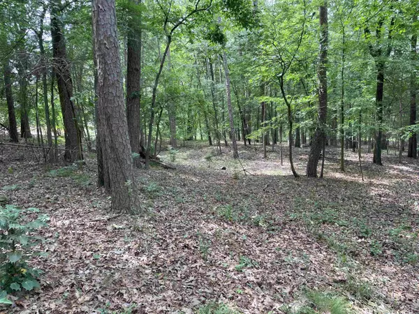 0 Woodland W, Heber Springs, AR 72543