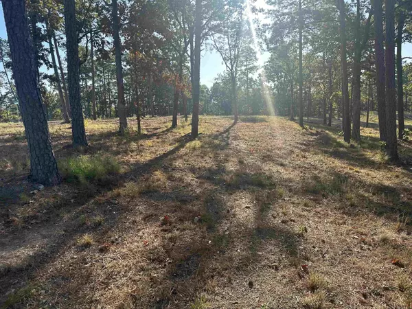 Conway, AR 72034,2915 Orchard View Drive