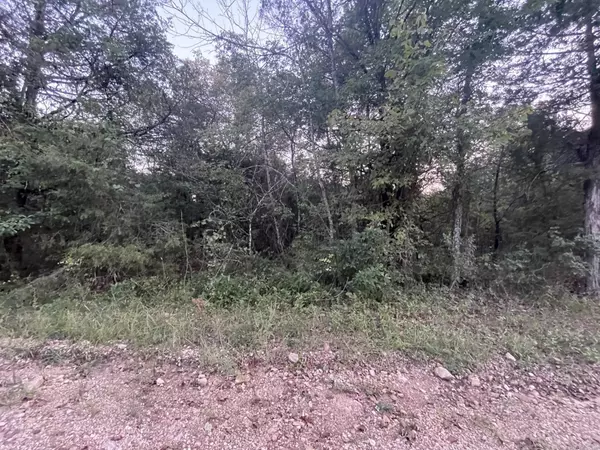 Diamond City, AR 72630,Lot 41 Canary Lane