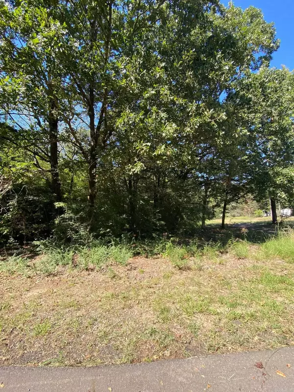 Greers Ferry, AR 72067,00 Narrows Drive