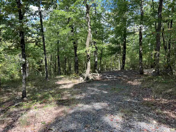 Mena, AR 71953,TBD Polk Road 119