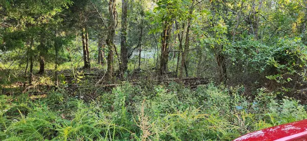Cherokee Village, AR 72529,L-1, B-2 Nokona Trace