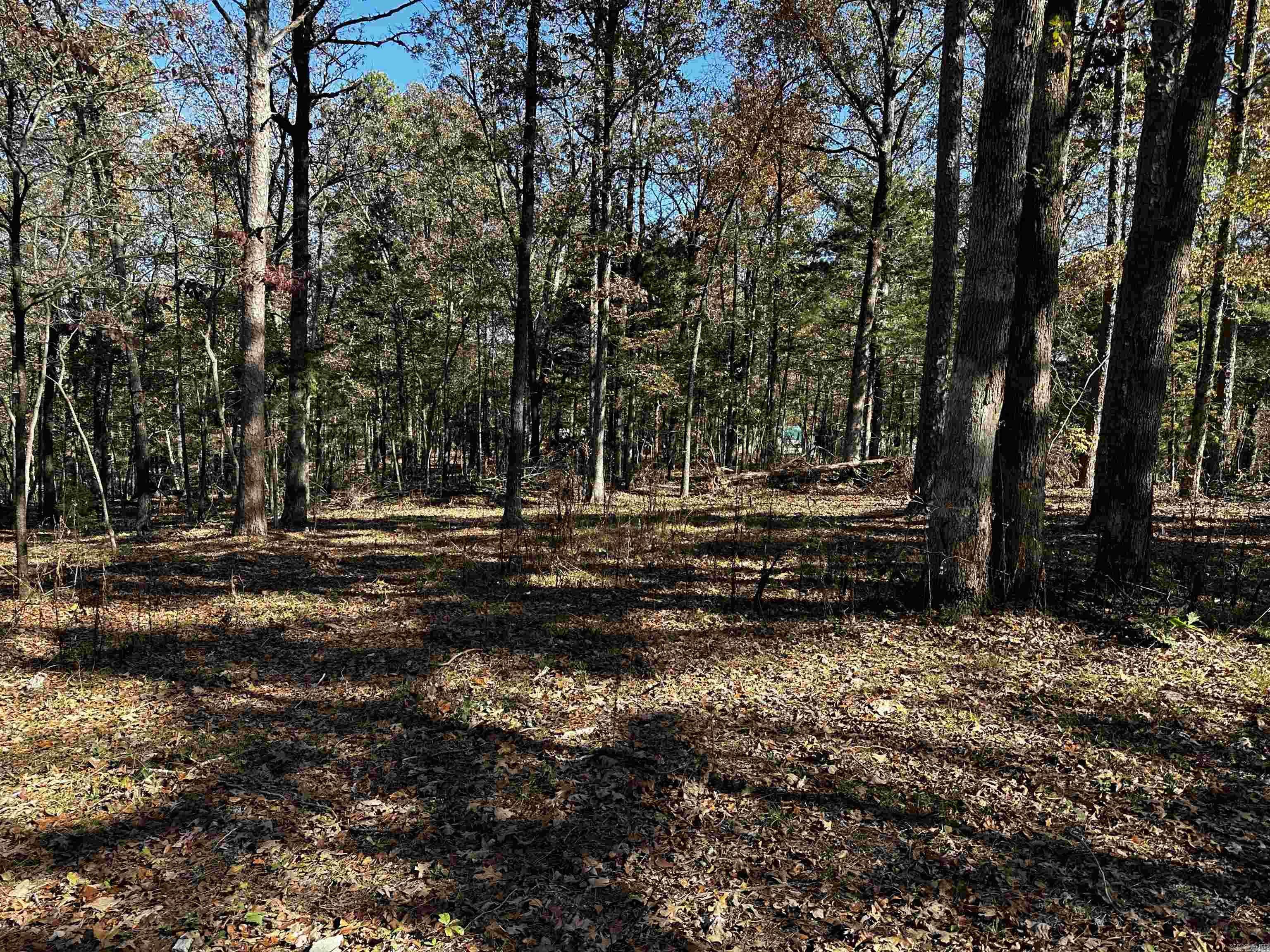 83 Medley Rd, Evening Shade, AR 72532