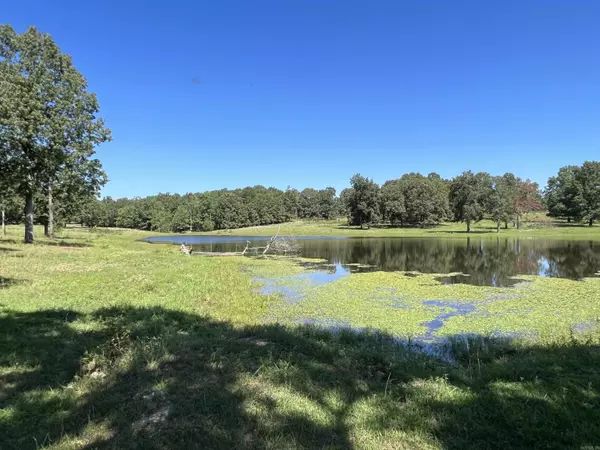 Hardy, AR 72542,Banks Road