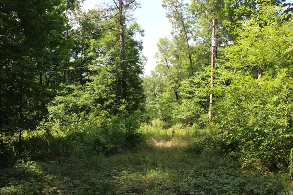 122 Sims Lane, Yellville, AR 72687