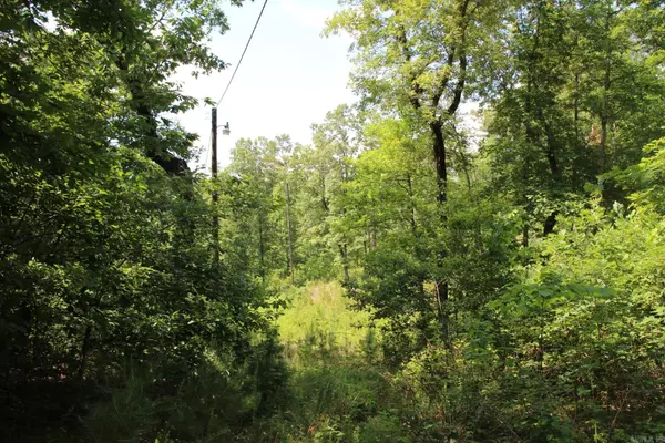 Yellville, AR 72687,122 Sims Lane