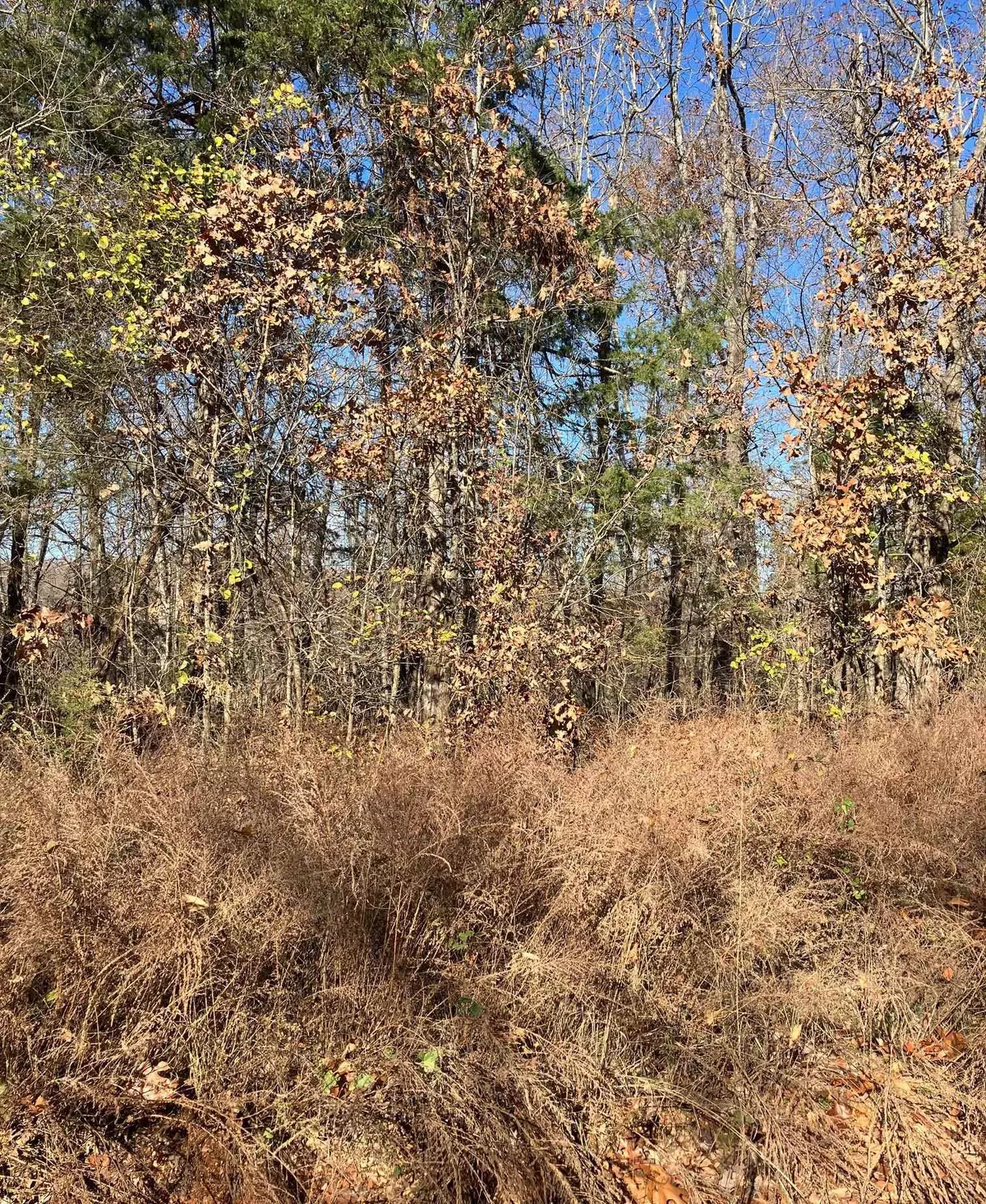 Hardy, AR 72542,Lot 4 White Horse Mountain Rd