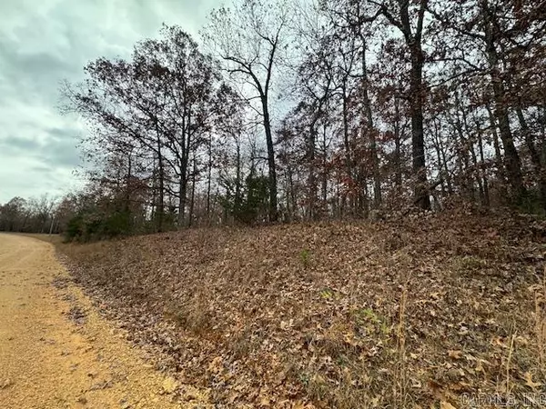 Ravenden Springs, AR 72460,TBD Nubbin Ridge Road