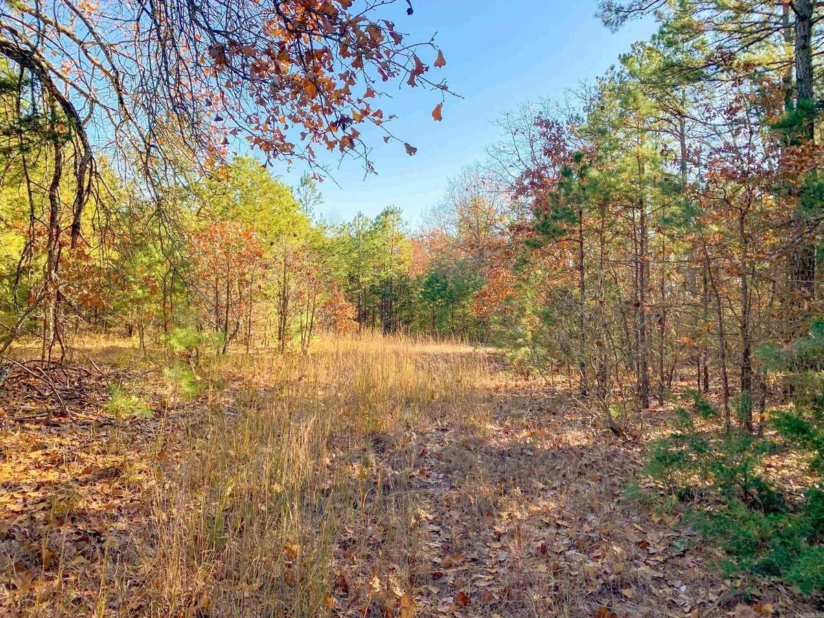 Bee Branch, AR 72013,1660 Scroggins Creek Road