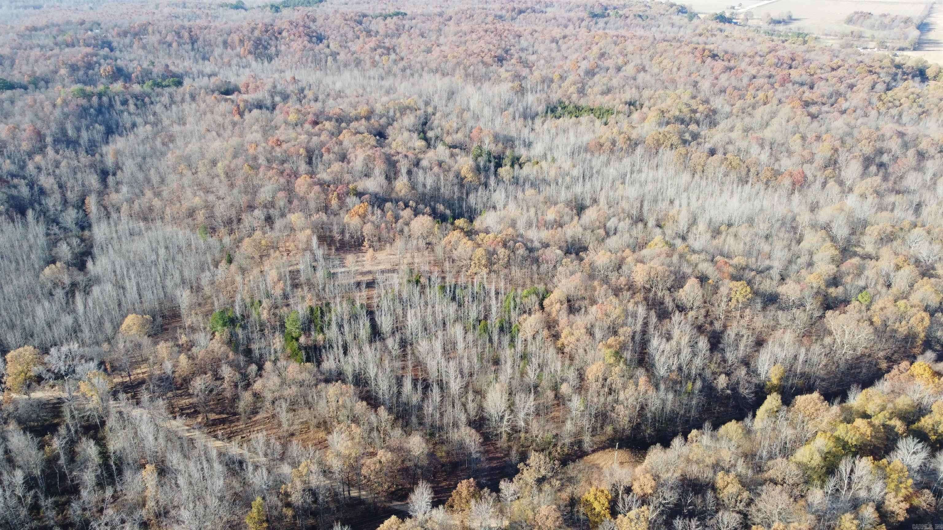 Lafe, AR 72436,418 Clay 408 Road